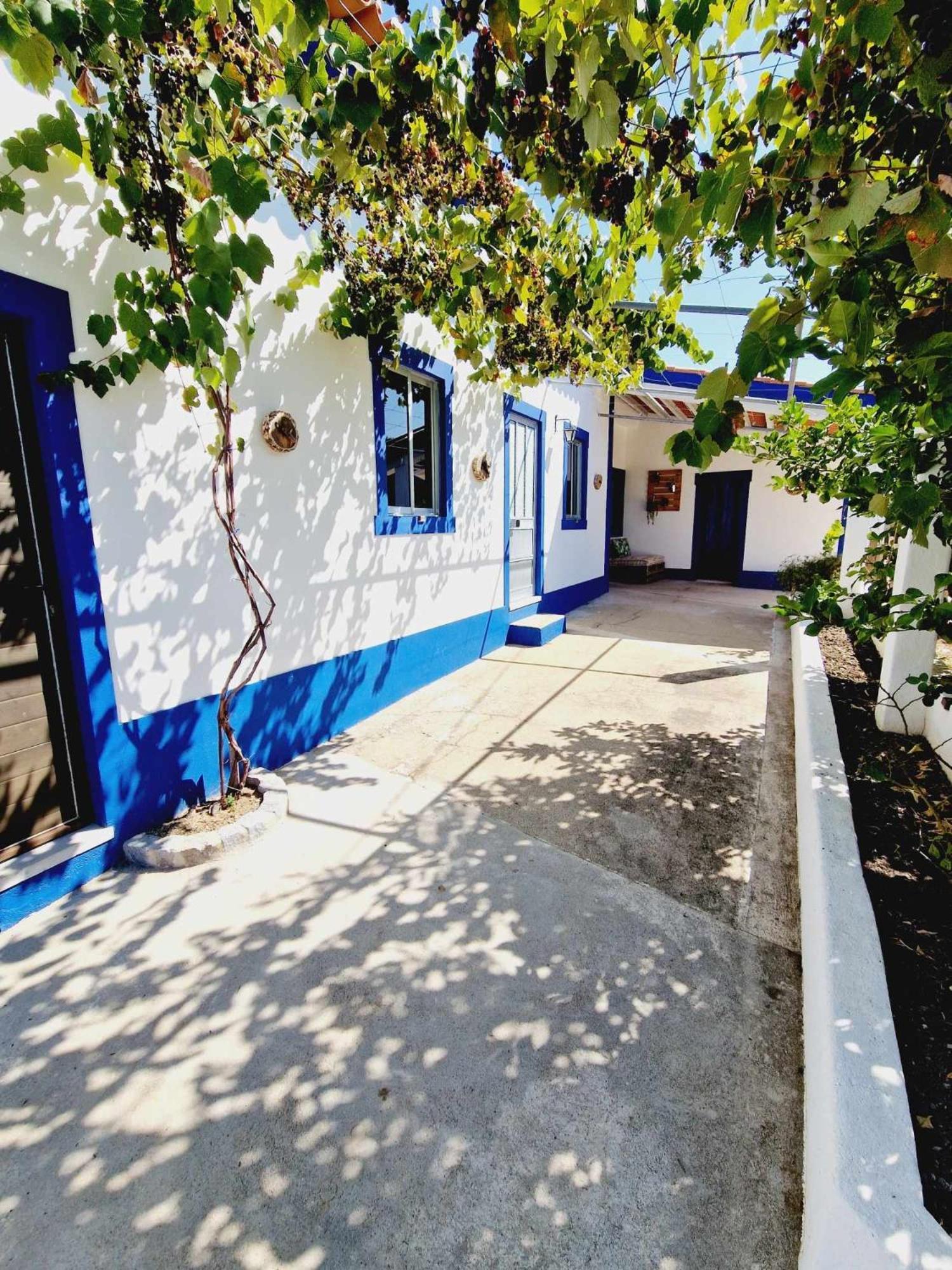 Casa Dos Martelitos Villa Salgueira  Exterior foto